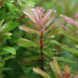 ij^@EFEBcL[itji_ji3{j@kCEBq֗vۉ