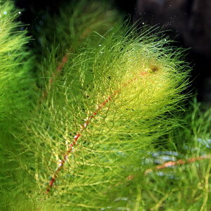 ij~ItB@wetB@t_Yi_ji1{j