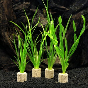 ijCt}`ij܂oXlA1i_ji1j