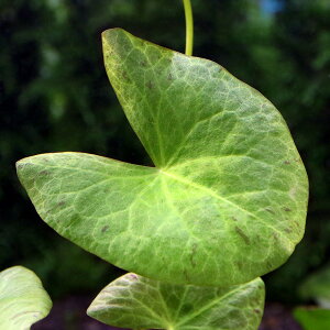 ijjt@spDy[@}hi[hitji_ji1j