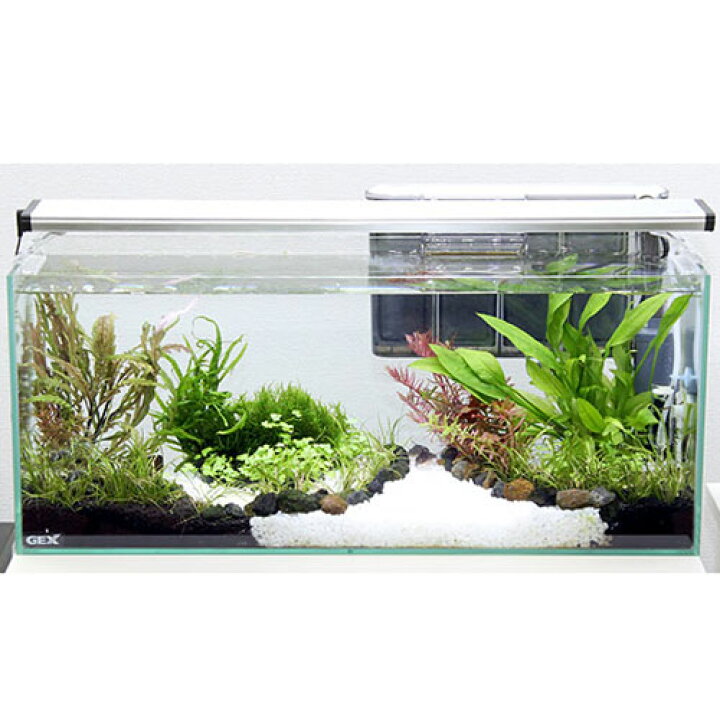 楽天市場 水草 ｇｅｘグラステリア スリム６００レイアウトフルセットｅ 用品 水草のみ 水槽セット 水草ガーデン お一人様１点限り 本州四国限定 Charm 楽天市場店