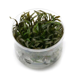 ijgD|{@NvgRl@ANZfBi_ji1Jbvj@kCEBq֗vۉ