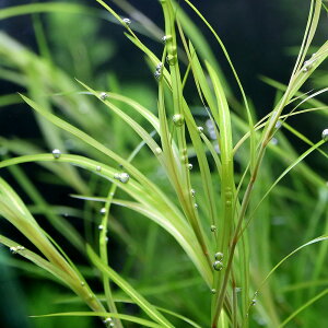 ij|^Qg@KC[itji_ji10{j