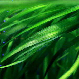 ijoXlAspDO@V[Yitji_ji3j