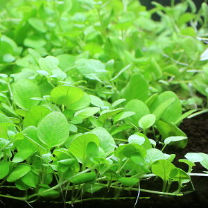 ijnCOtB@ZtBitji_ji10{j