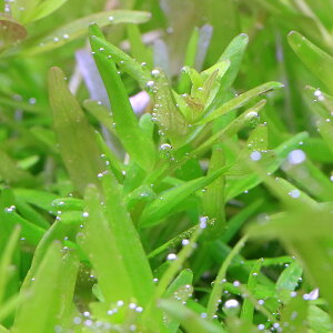 ij^@gfBtHA@\itji_ji10{j