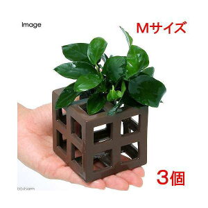 ij̉BƁ@AkrAXii@ړIVF^[Mitji3j