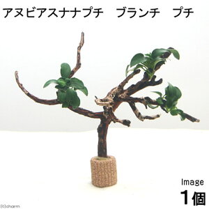 ijAkrAXii@v`@u`v`i_ji1{j`ӍH[`