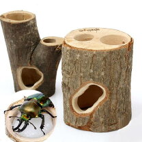 楽天市場】カブトムシ 小屋 販売の通販