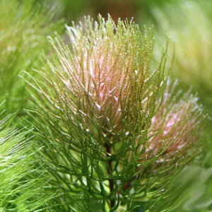 ij}ciĎYbh^Cvjitji4{j