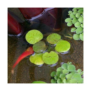 irIg[vjA@h[ttbOrbgi_ji10j