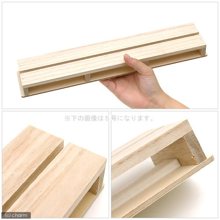 楽天市場】志賀昆虫 36×7cm 4号 展翅板 昆虫 標本用品 関東当日  