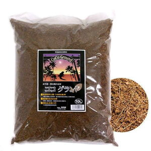 RROh@10L@঒ށ@ꏰ@}bg@֓