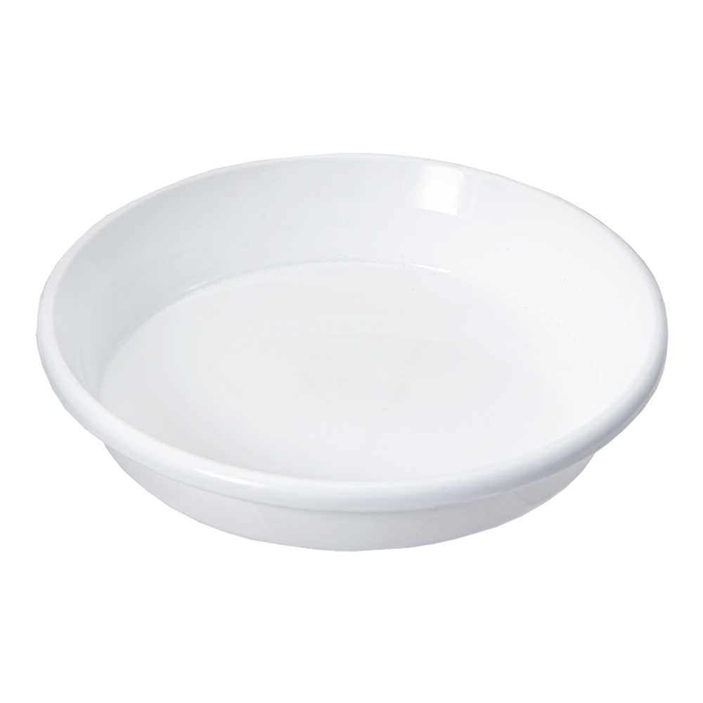 鉢皿 Ｆ型 ６号（ホワイト） 関東当日便