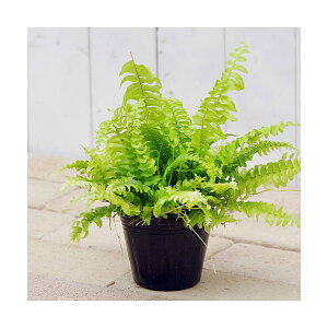 iϗtAjV_@ltsX@cf[@3i1|bgj