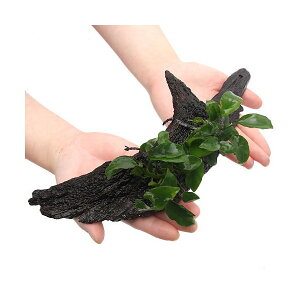 ijAkrAXii@N[t@ؕt@LTCYi1{ji25cmj