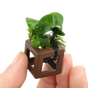 ijgD|{@Gr̉BƁ@AkrAXiititji_ji5j@kCq֗vۉ