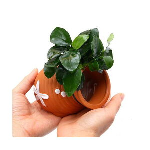 ij^Rc{@AkrAXiiitji1j