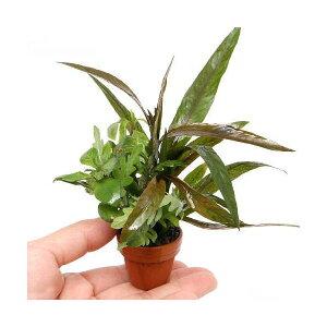 ijv`fĂ@nCO~bNXitji_ji3j