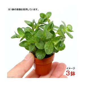 ijv`fĂ@^@gfBtHA@xgiYitji_ji3j