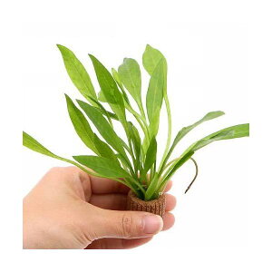 ijCt}`ij`F[A}]itji_ji1j