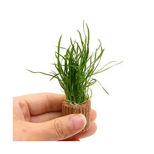 ijCt}`ijRuOX@[VXitji_ji1j