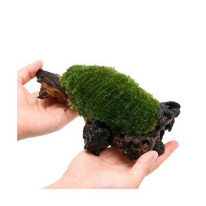 ieEjہ@e@}SPt؁@MTCYi20cmji1{j