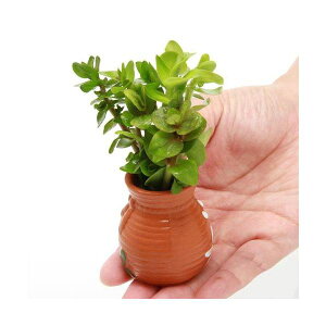 ij^Rc{~j~j@oRp~bNXitji_ji1j