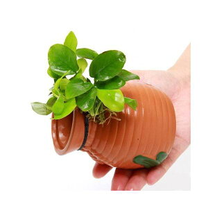 ij^Rc{@AkrAXii@S[fitji1j