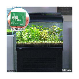 楽天市場 水草その前の通販