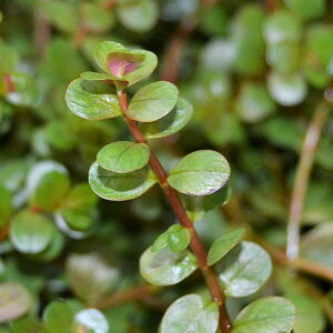 ij^@gfBtHA@IWW[Xitji_ji10{j