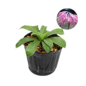 iR쑐jVEWEoJ}íXсj@3i1|bgjixԁj