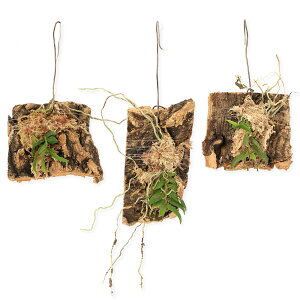 iR쑐jJiЗjRNtiāji1jixԁj