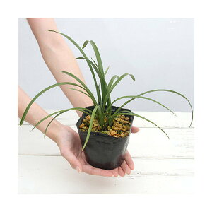 iR쑐j~co`iIj@ŕӁ@3`i1|bgjixԁj