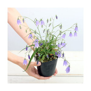 iR쑐jVWiQjCVWi⍹Qj3`4i1|bgjixԁj