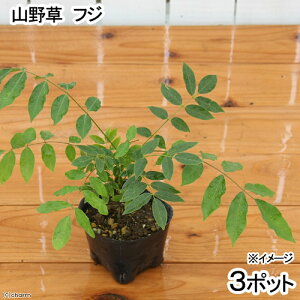 iR쑐j~́@tWiREj@3i3|bgZbgjixԁj