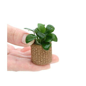 ijgD|{@Ct}`ijAkrAXiii_ji5j@kCq֗vۉ