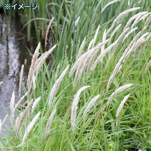 iϗtAjybg[t@`K@3i_ji1|bgj@NK@ixԁj