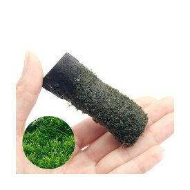 楽天市場 水槽 30 センチ 何 リットル 熱帯魚 アクアリウム ペット ペットグッズ の通販 楽天市場 水槽 30 センチ 何 リットル 熱帯魚 アクアリウム ペット ペットグッズ の通販