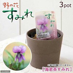 iR쑐jX~i俁jGr`X~iCV俁j2D5`3i3|bgZbgjixԁj