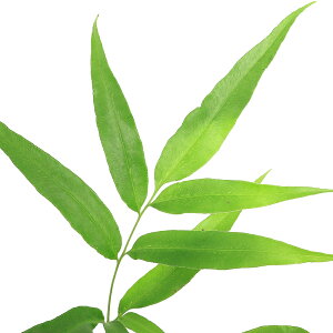 iR쑐jV_irjCKl\Ei⍪j3i1|bgjΐN