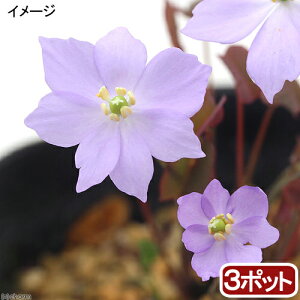 iR쑐j^c^\Eicj3i3|bgZbgjixԁj