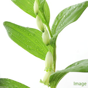 iR쑐jqCYCiPA}hRj@3D5i3|bgZbgj@ƒ؉ixԁj