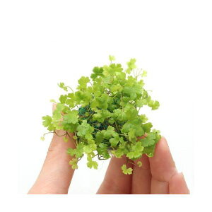 ij琬ρ@I[XgA@m`h{[itji_ji1j