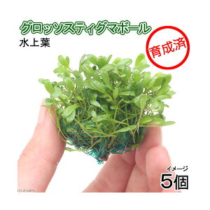 ij琬ρ@Ob\XeBO}{[itji_ji5j