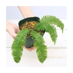 iR쑐jV_irjVVKViqj@3`4i1|bgjΐN