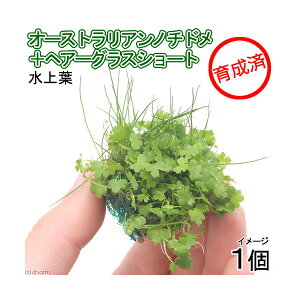 ij琬ρ@~bNX{[iwAV[{I[XgAm`hjitji1j