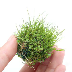 ij琬ρ@~bNX{[iwAV[{Ob\XeBO}jitji1j