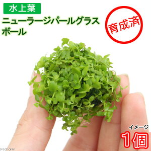 ij琬ρ@j[[Wp[OX@{[itji_ji1j