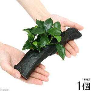 ijAkrAXii@O@EF[u[t@ؕt@MTCYi1{ji20cmj